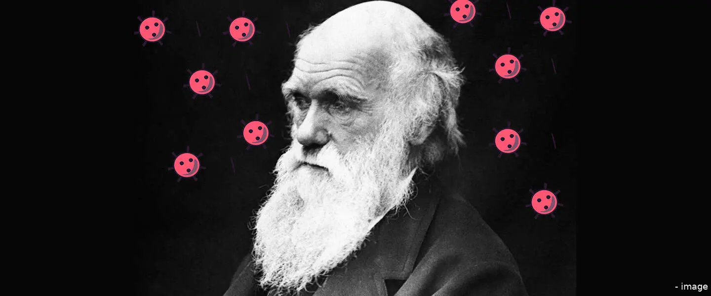 darwincorona