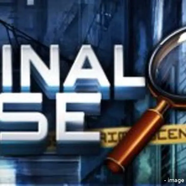 de facebook games van 2013 criminal case