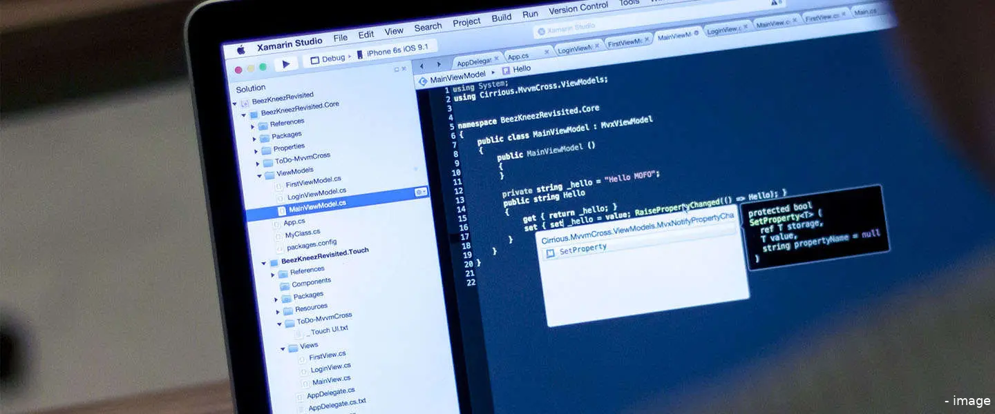 developers