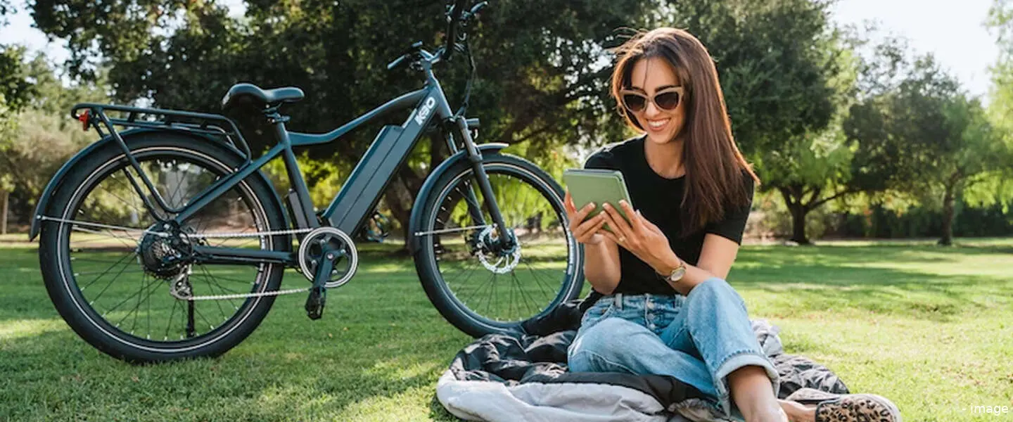 diefstal ebike