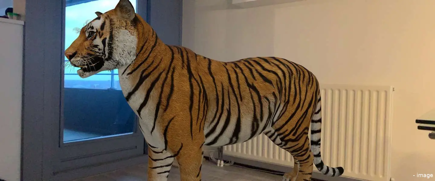 dieren google 3d augmented reailty