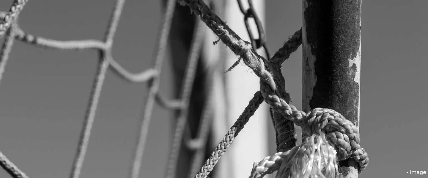 doel header 1