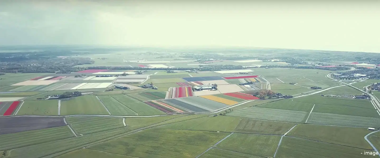 drone video tulpen molens