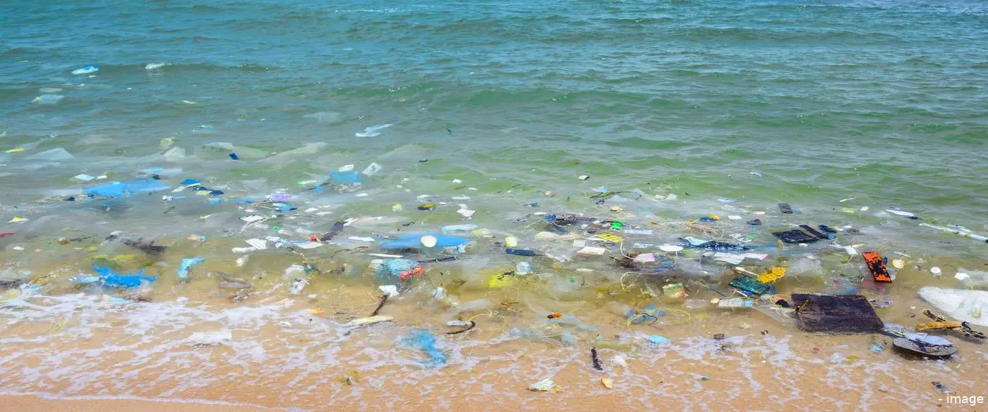 eu plastic regels 2019