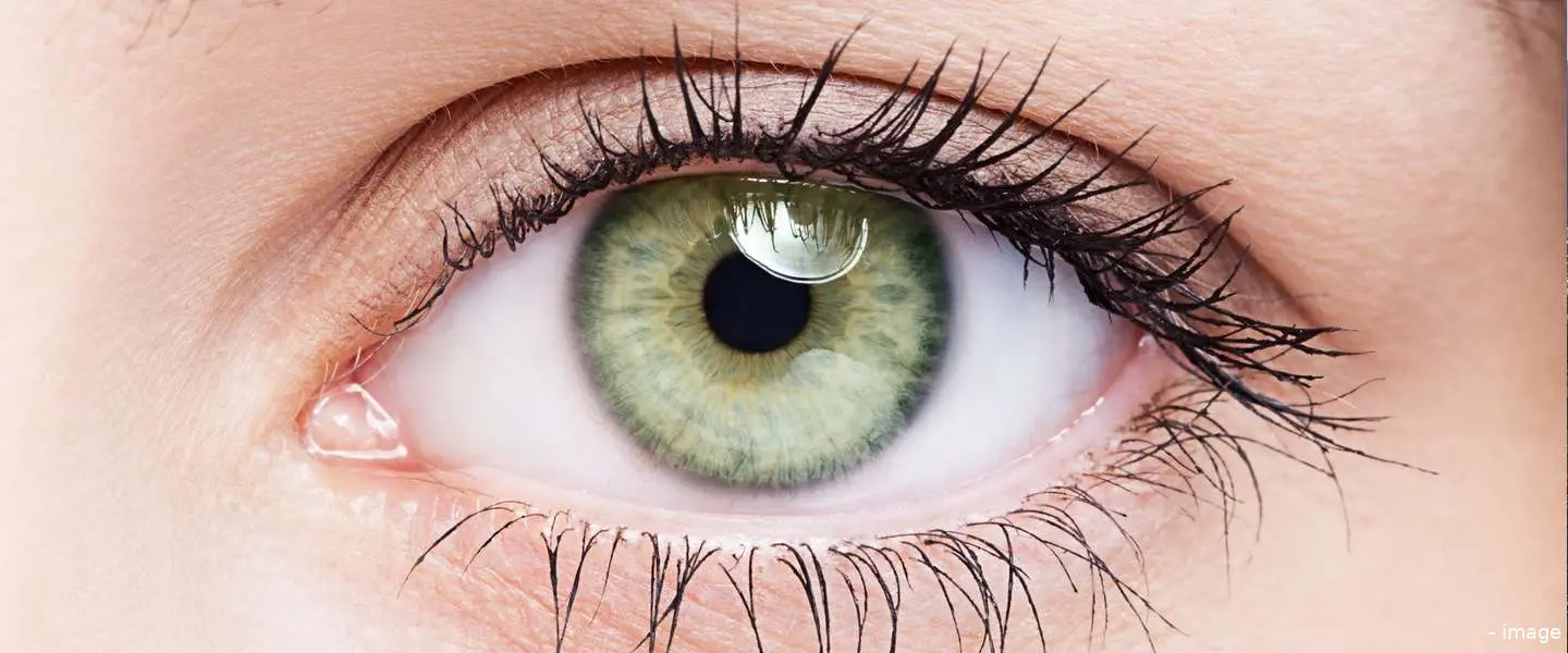 eyes h