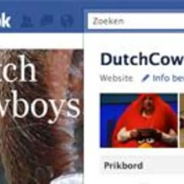 facebook pages krijgen redesign
