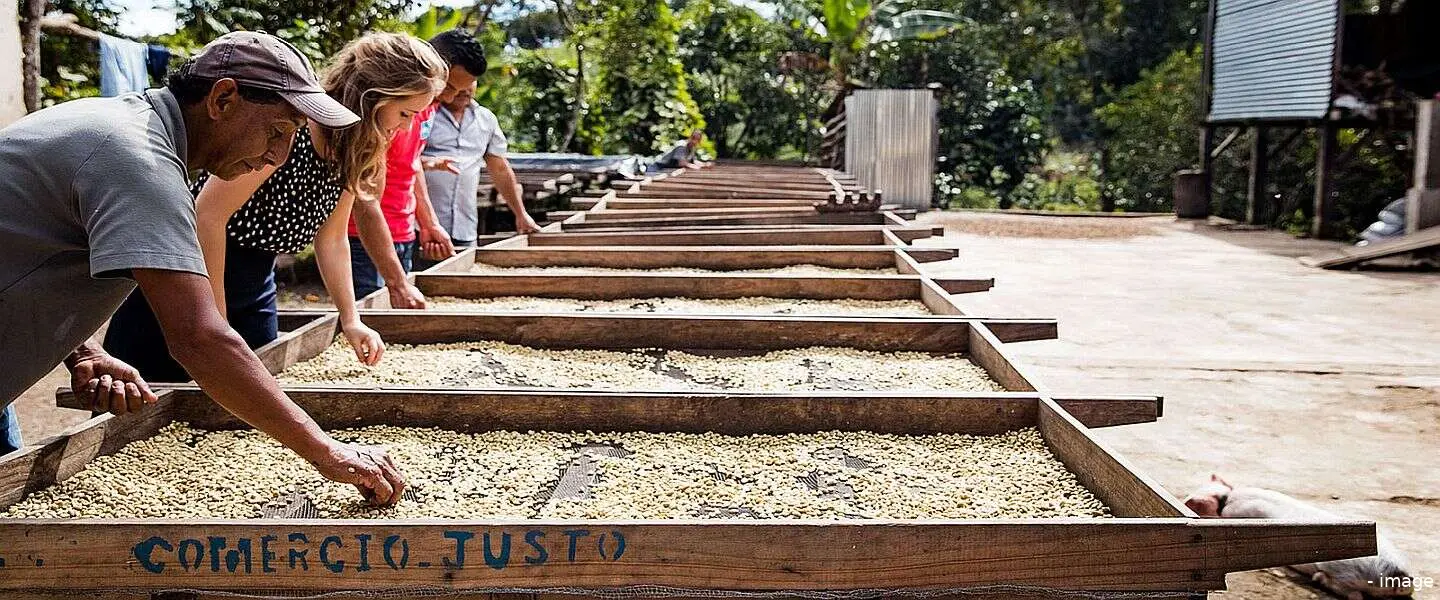fairtrade koffie 2