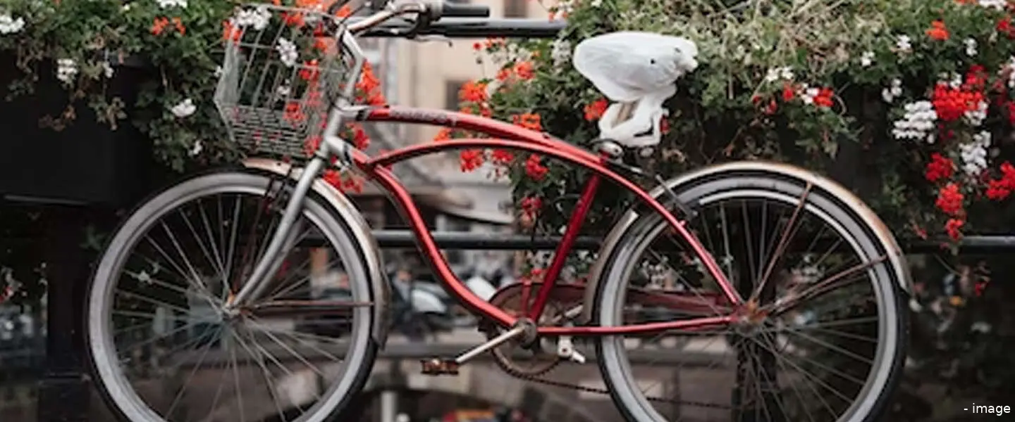 fiets gestolen