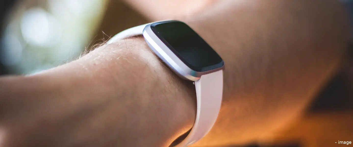 fitbit 1