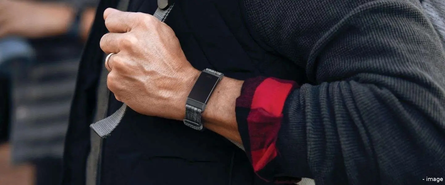 fitbit1 2