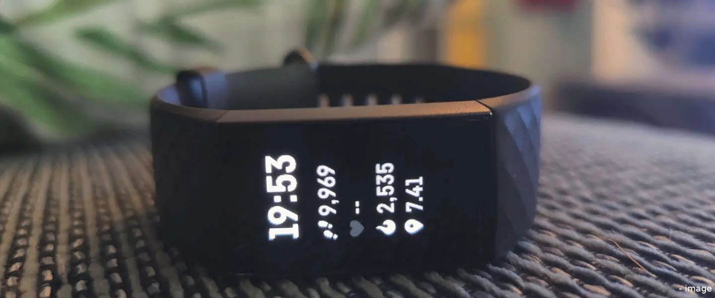fitbit1 4