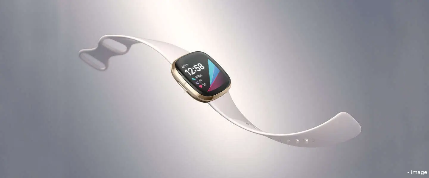 fitbit1 5