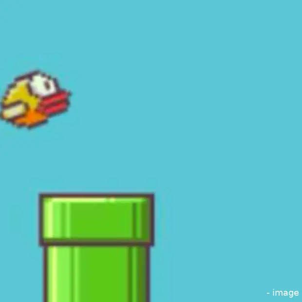 flappy bird en de wonderlijke voorkeuren