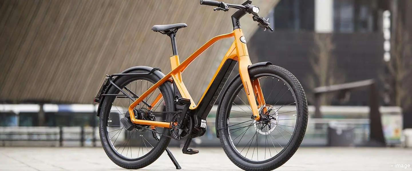 gazelle no1
