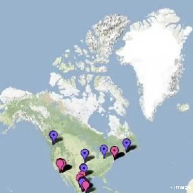 google maps brengt h1n1 swine flu in kaa
