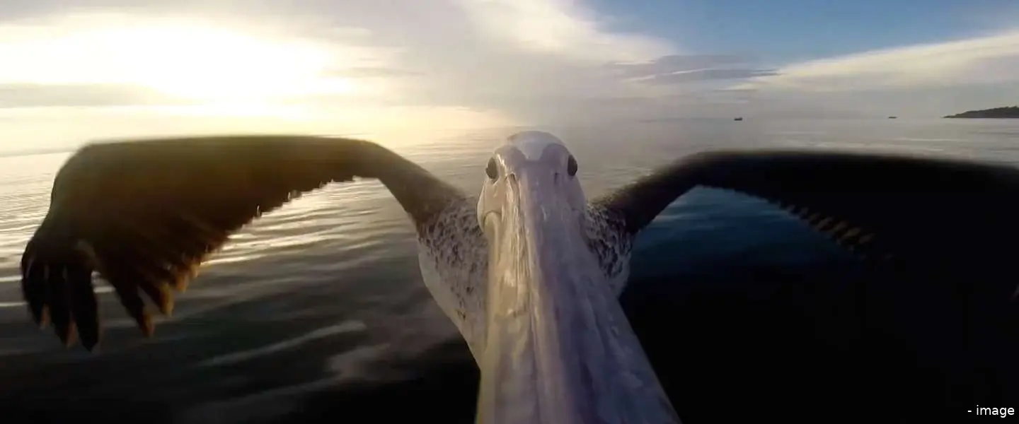 gopro hero4