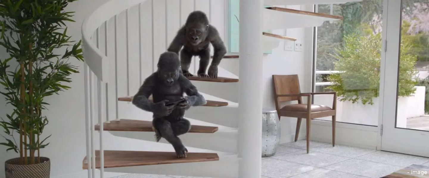 gorilla glass 1