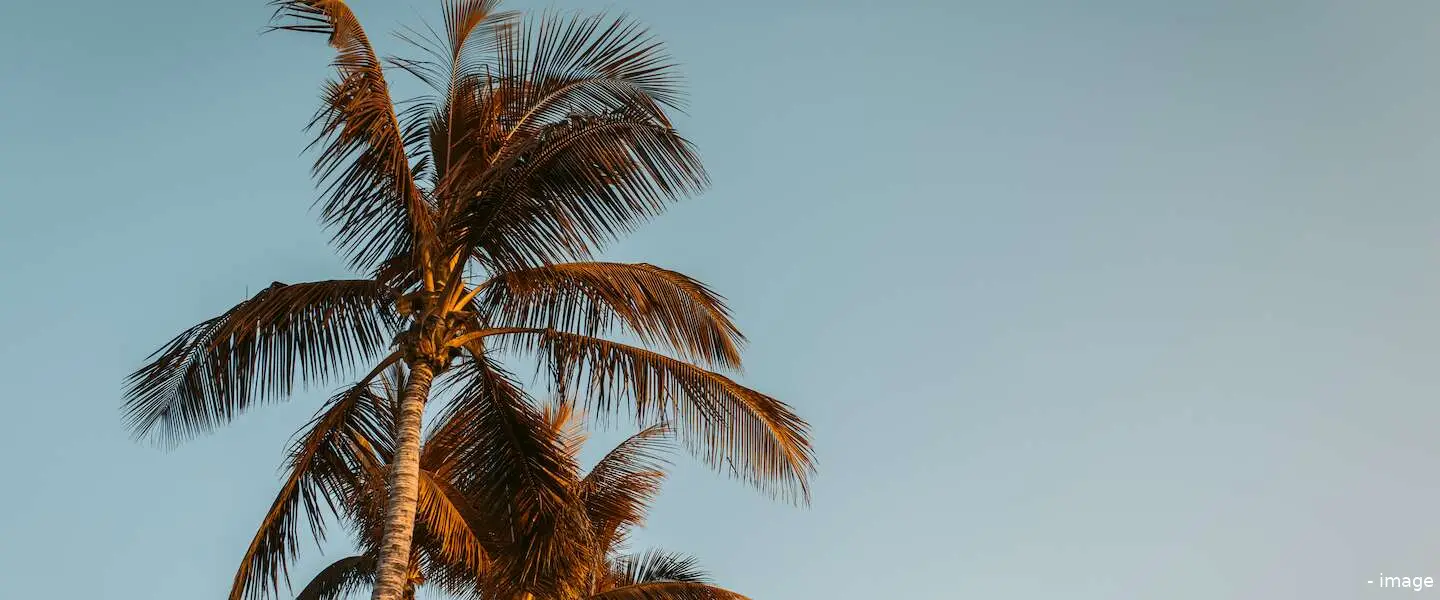 gratis coronatest vakantie