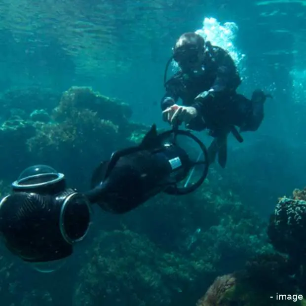 great barrier reef straks te zien met go