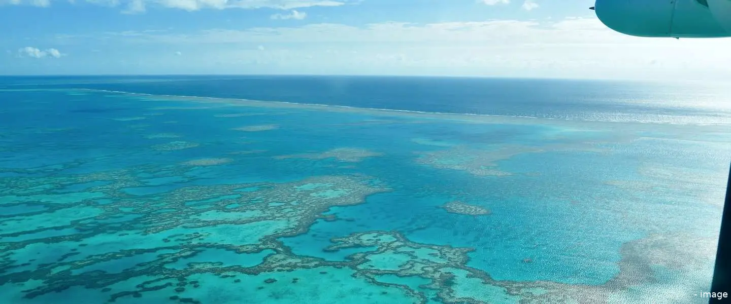 great barrier reef vakantie