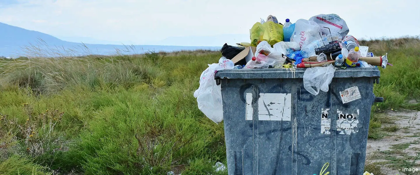 greenwashing