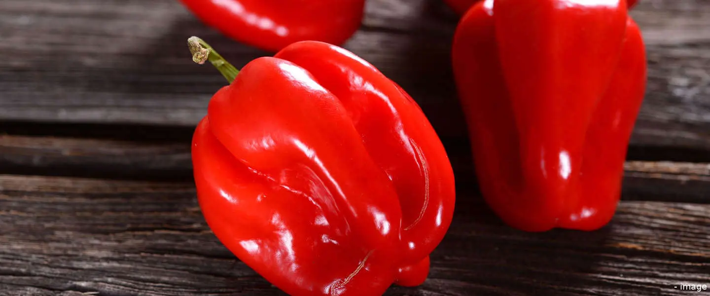 habanero scoville