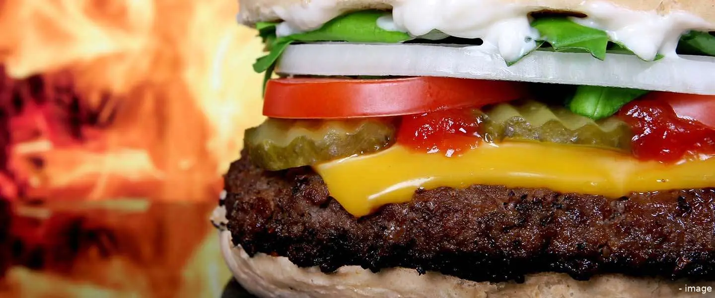 hamburger 1