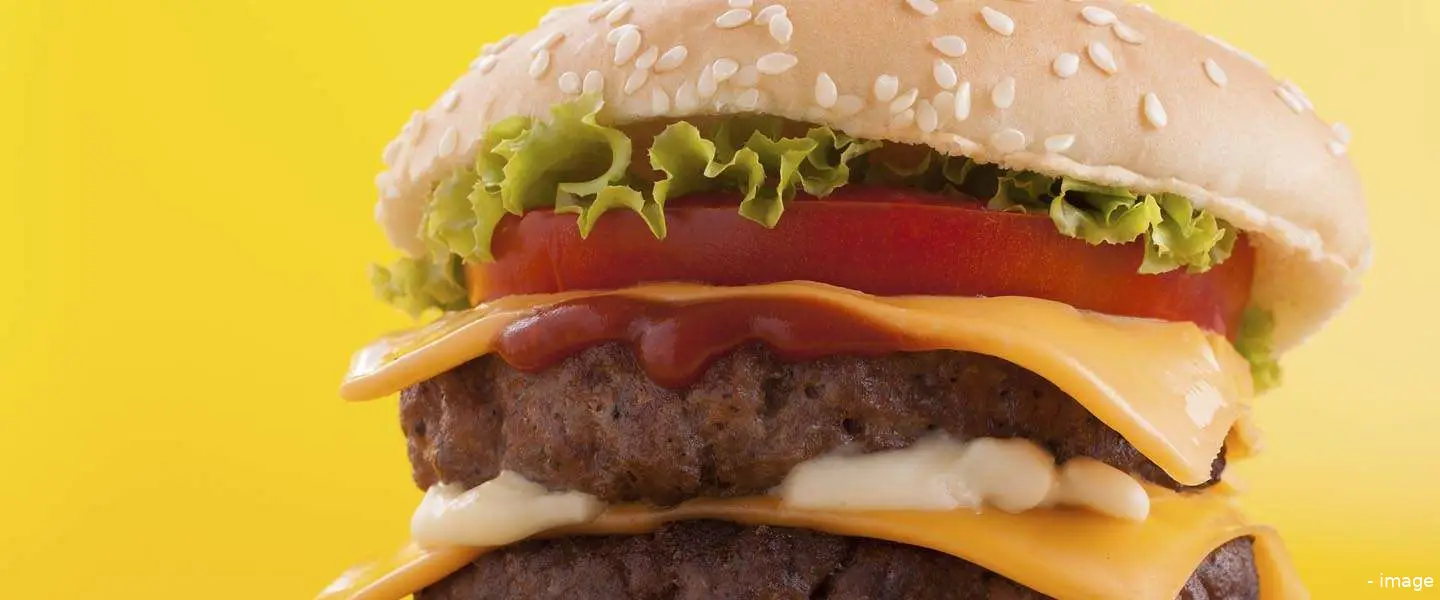 hamburger