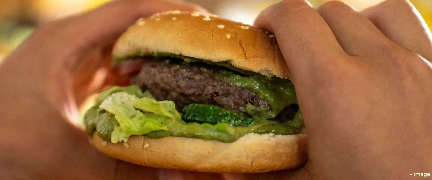 hamburgervega
