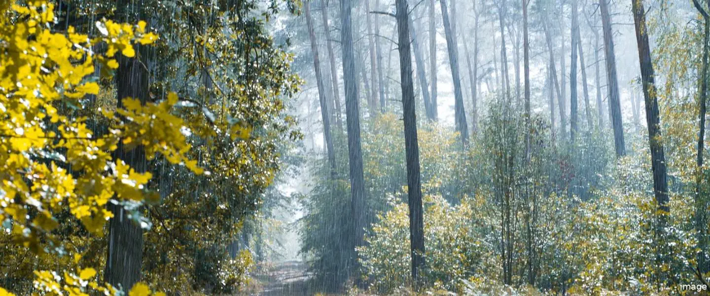 herfst1