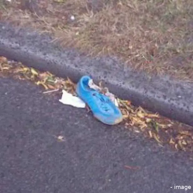 het mysterie van roadsideshoe com