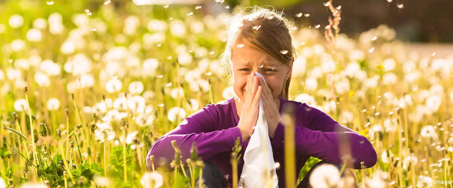 hooikoorts lente pollen