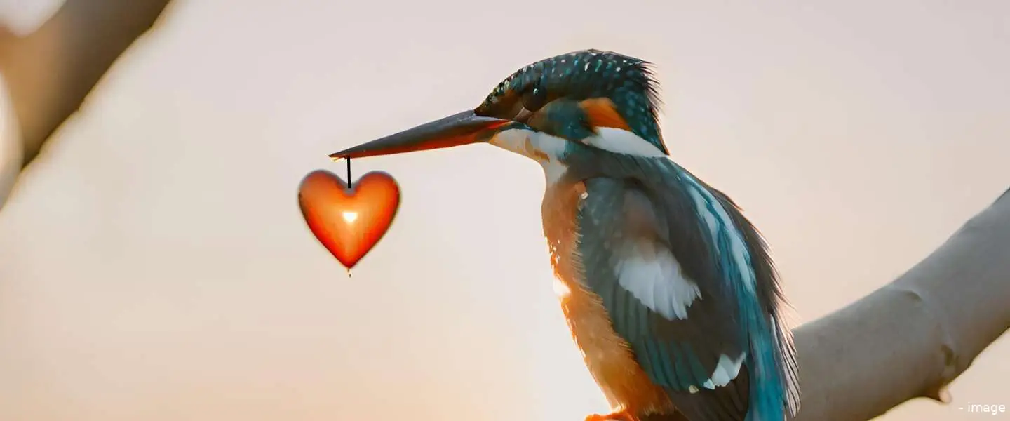 ijsvogel