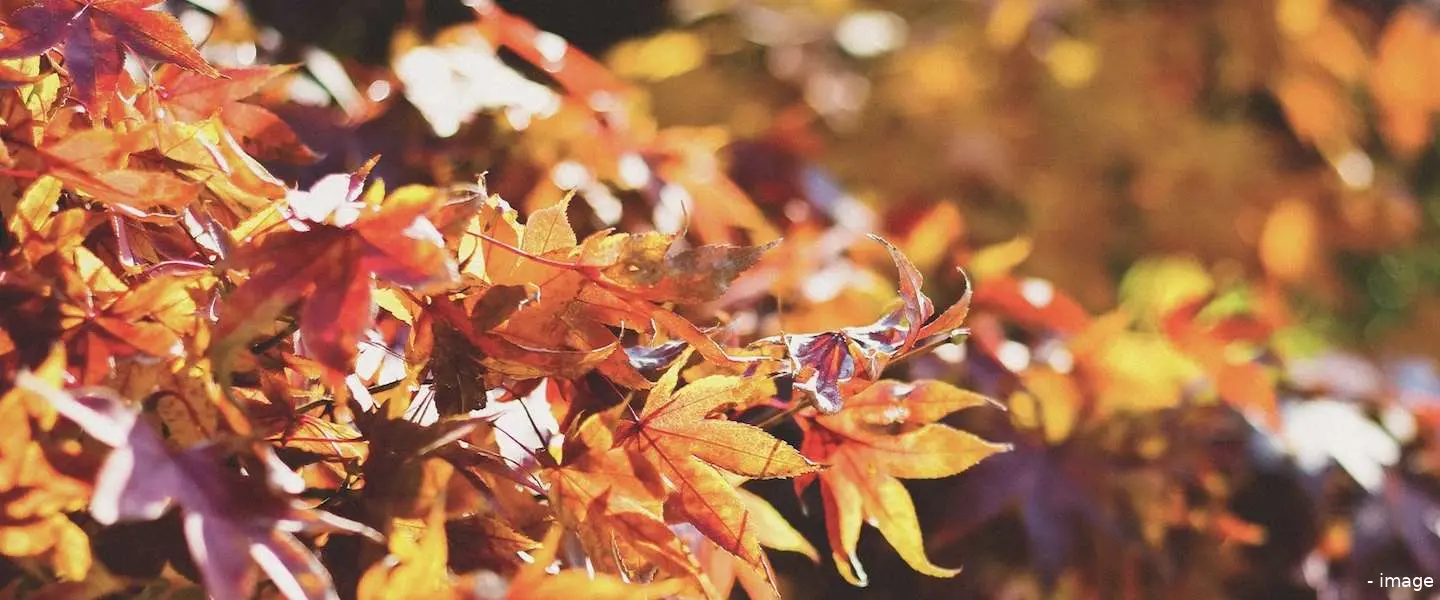 indian summer