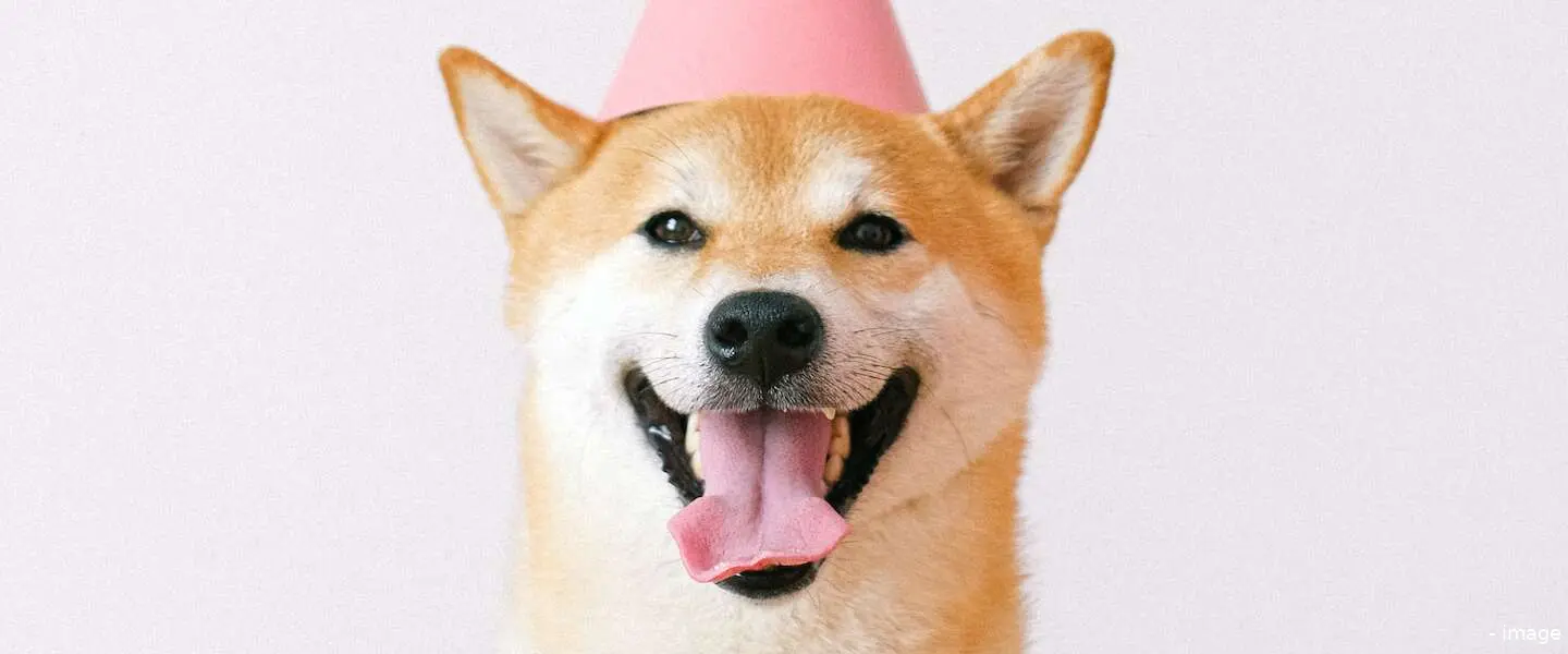 instagram dieren