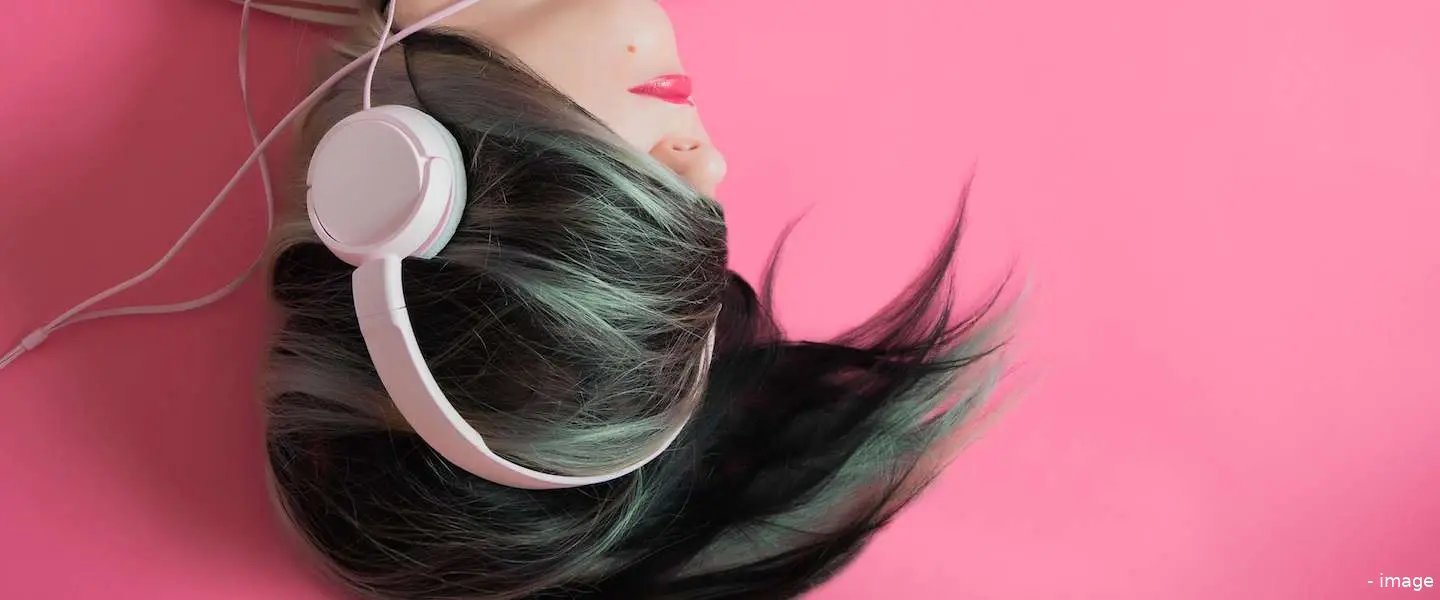 instagram stories muziek nederland
