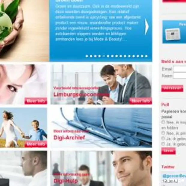 kranten blijven worstelen met business m