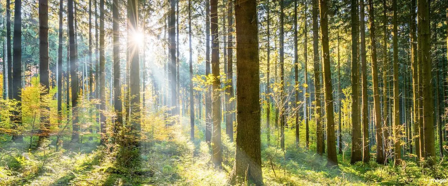 lente nederland 1 1