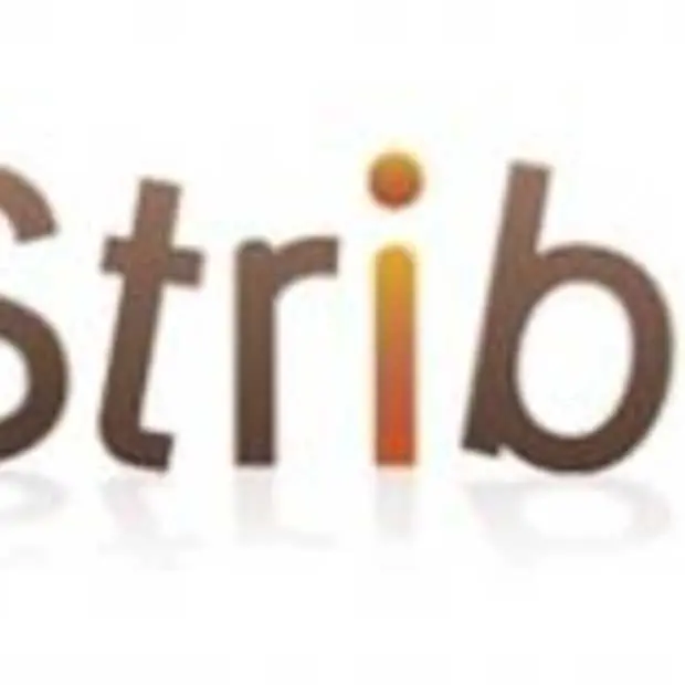 leweb start up competition stribe wint
