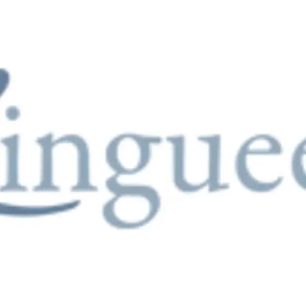 linguee menselijke vertalingen nu ook vo