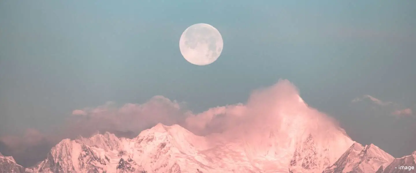 maan header 2 1