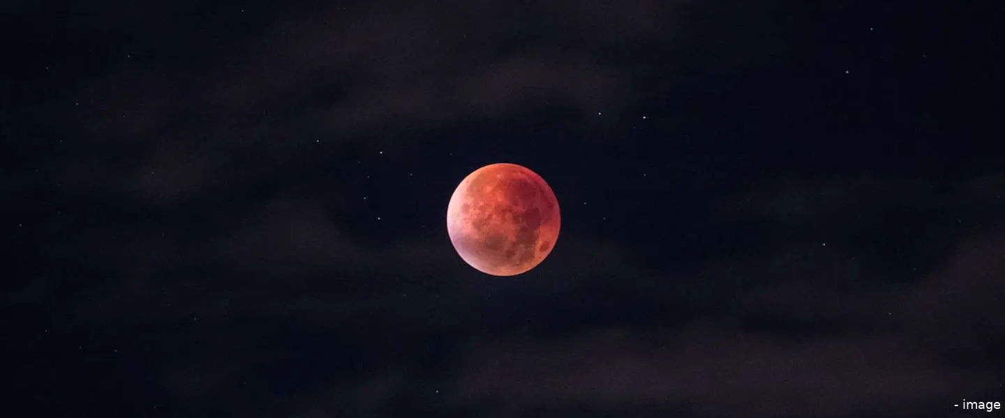 mars maan twitter elon musk
