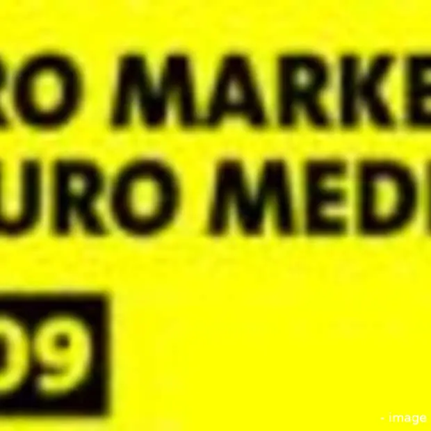 meer dan 250 inzendingen project 2009