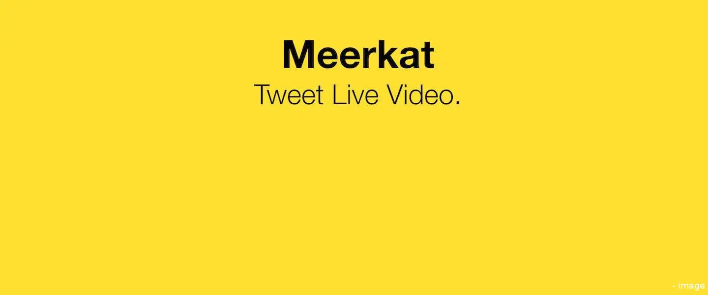 meerkat 1