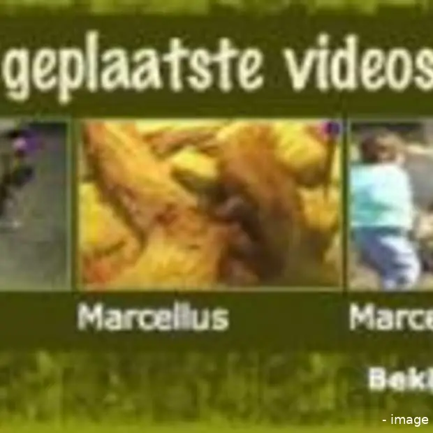 mijnzoo nl nieuwe community bij ad