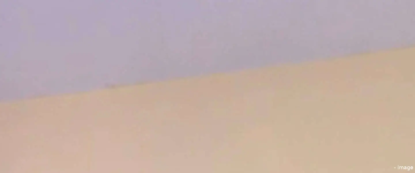 myai