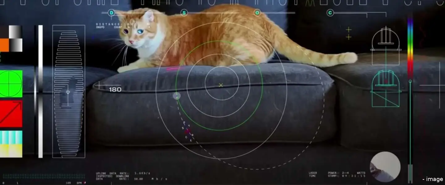 nasa kattenfilmpje
