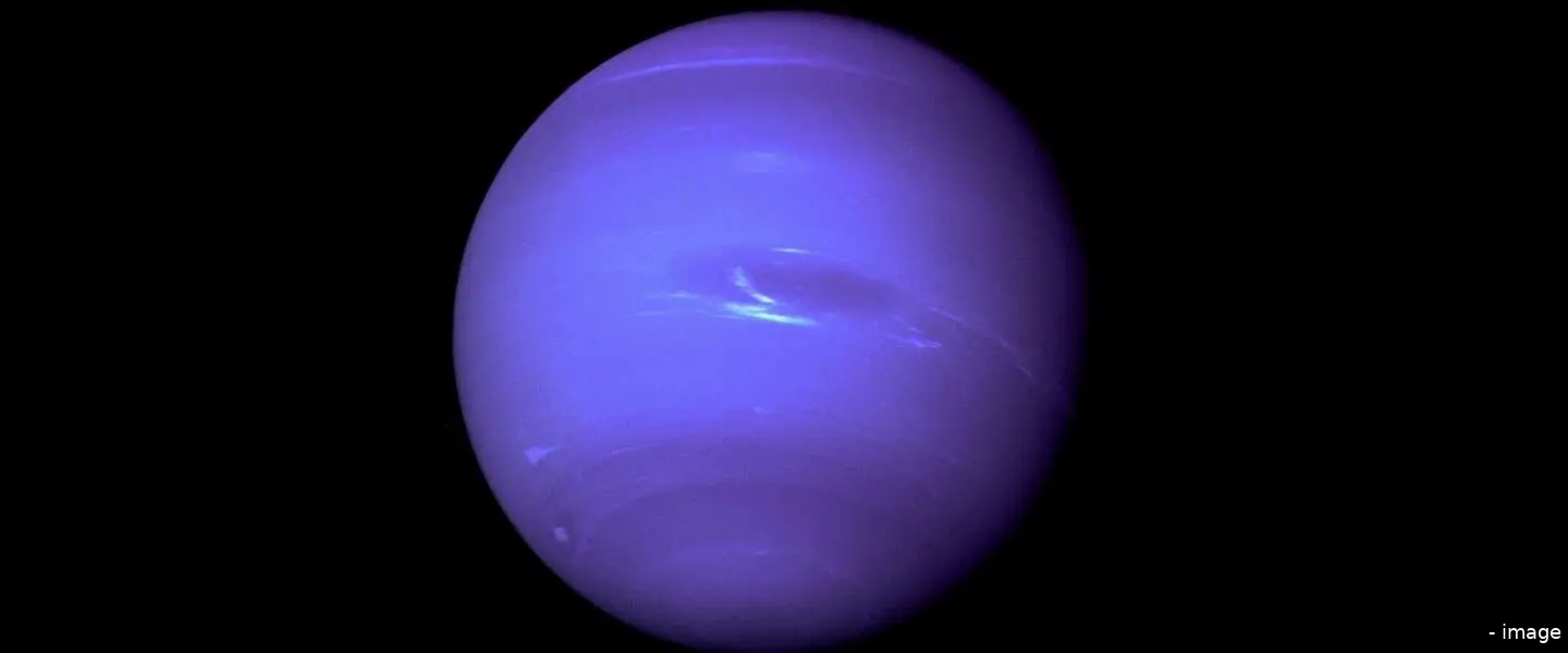 neptunus header