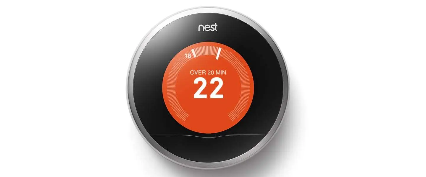 nest 1