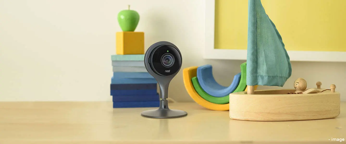 nestcam 1